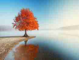 各﻿大﻿网‍址‌收‍录‍查﻿询‍